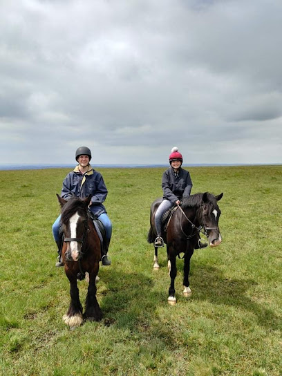 Cholwell Riding Stables.